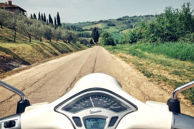 Half day Chianti Vineyard Escape from Florence with Wine Tastings - The Chianti Road View Stop: When the Light Helps Your Camera