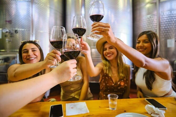 Half day Chianti Vineyard Escape from Florence with Wine Tastings - What You Should Bring and How to Prepare