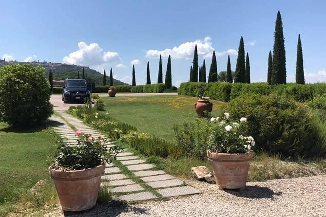 Pisa and Lucca Day Trip from Florence - Buccellato in Lucca: A Included Snack With Variable Story Time