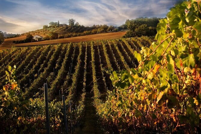 Private Flavors of Florence Walking Tour (Food and Wine Included) - Enoteca Wine Tasting with Cheeses and Meats