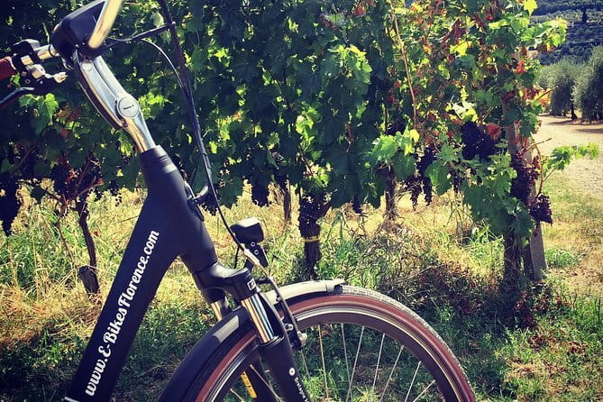 Private Self-Guided E-Bike Ride in Tuscany with Vineyard Visit - Key things you’ll notice on this Tuscany e-bike day