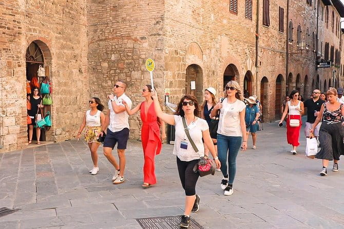 San Gimignano, Siena, Monteriggioni, Chianti Day Trip with Lunch & Wine Tasting - Chianti Countryside on Strada Statale 222: The Drive Plus the Payoff