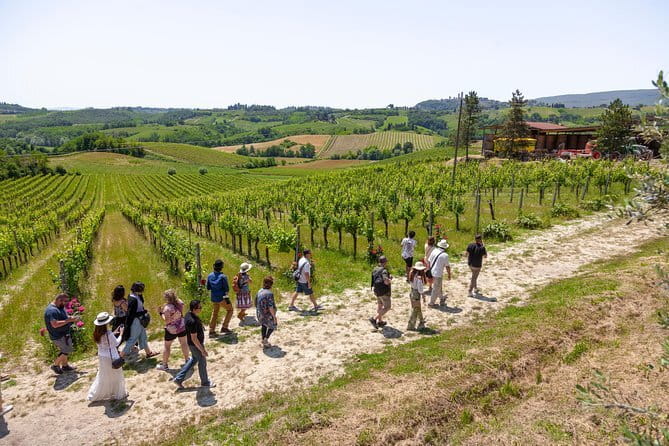 Siena and San Gimignano: Small-Group Tour with Lunch from Florence - San Gimignano: One Hour to Feel Like You Stepped Into a Movie