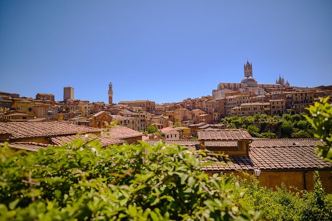 Siena, San Gimignano and Chianti Wines Day Tour from Florence - Morning Departure at Piazzale Montelungo (Near Santa Maria Novella)
