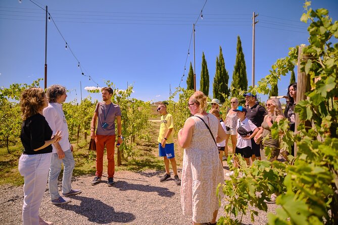 Siena, San Gimignano and Chianti Wines Day Tour from Florence - Monteriggioni: Quick Fortress Time With Optional Wall Views