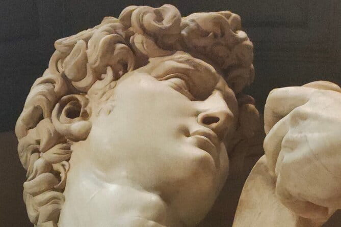 Skip-the-Line Guided Tour of Michelangelo’s David in Florence - Who should book this David tour?