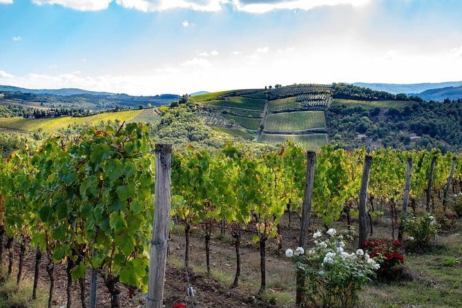 SMALL-GROUP Wine Safaris: Tuscan Wine Tasting Tours from Florence - What Makes This Wine Safari Worth Your Time
