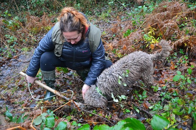 Truffle Hunting Experience with Lunch in San Miniato - From Forest to Farm Table: Lunch That Actually Ties Back to the Hunt