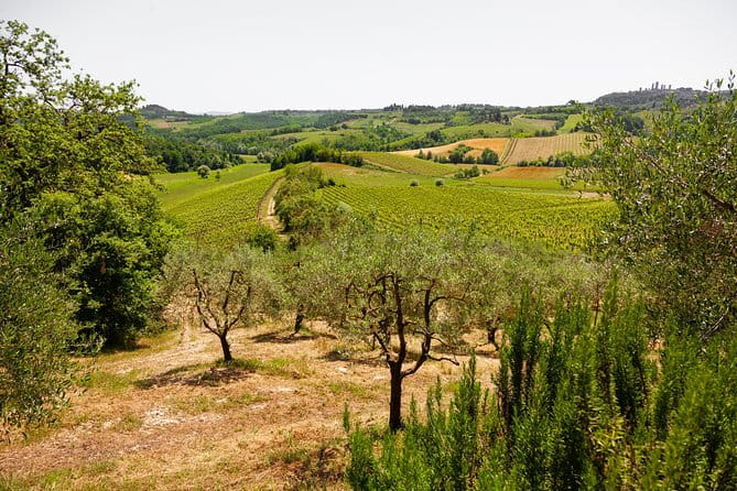 Tuscany Day Trip from Florence: Siena, San Gimignano, Pisa and Lunch at a Winery - Siena with a guided city walk: Cathedral floor, contrade culture, and Piazza del Campo