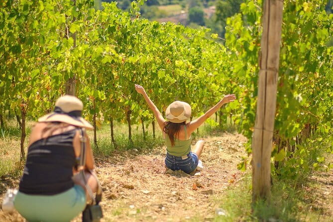 Tuscany Vespa Tours Through the Hills of Chianti - Buying Wine and Olive Oil: How the Purchase Option Works