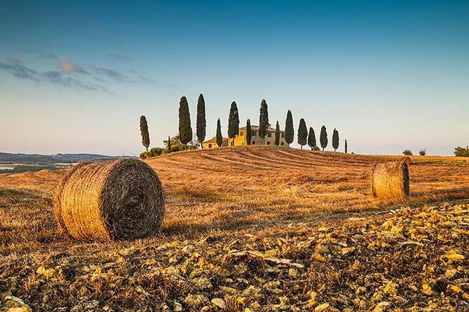 Walking Food Tour of Florence with Tastings and Wine - What the Guide Adds (and Why It Can Make or Break the Tour)
